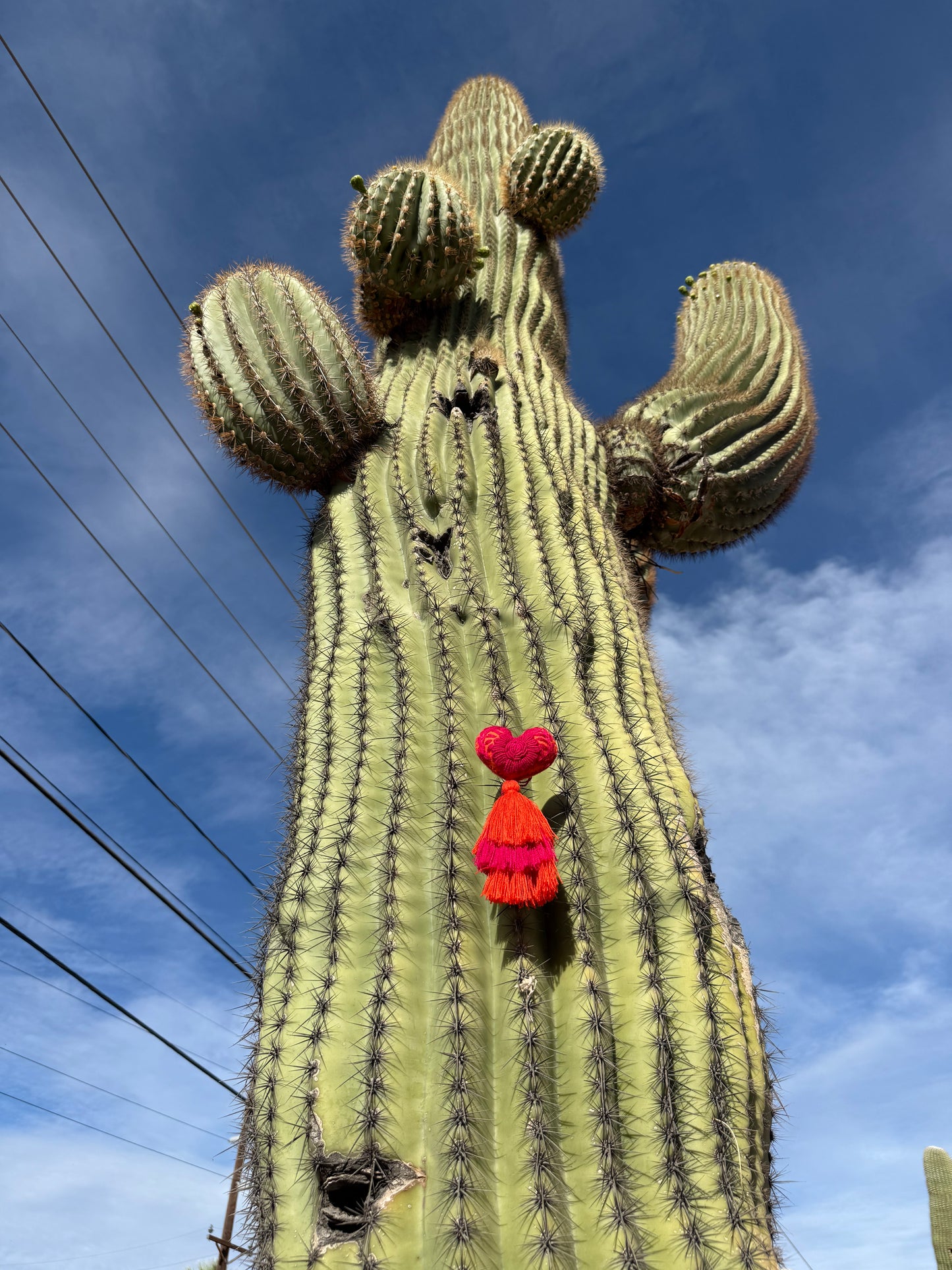 Pink and Orange Flower Embroidered Heart Pom Pom