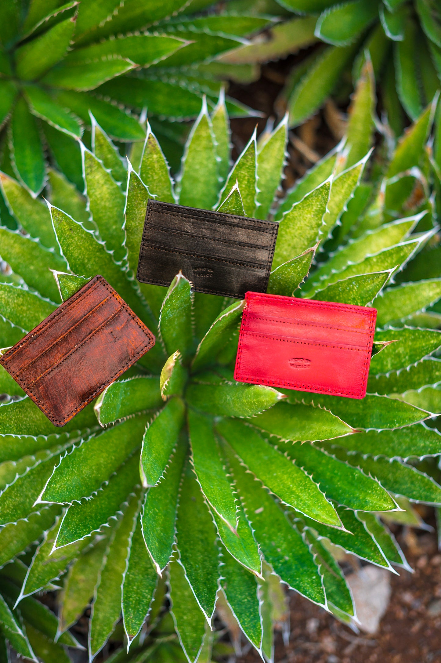 Leather Card Holder