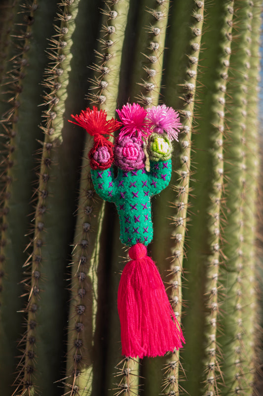 Cactus Heart Pom Pom