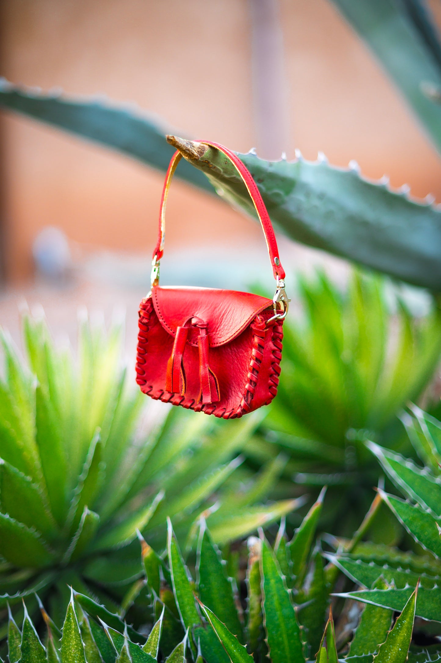 Red Tassels Mini Envelope Leather Crossbody