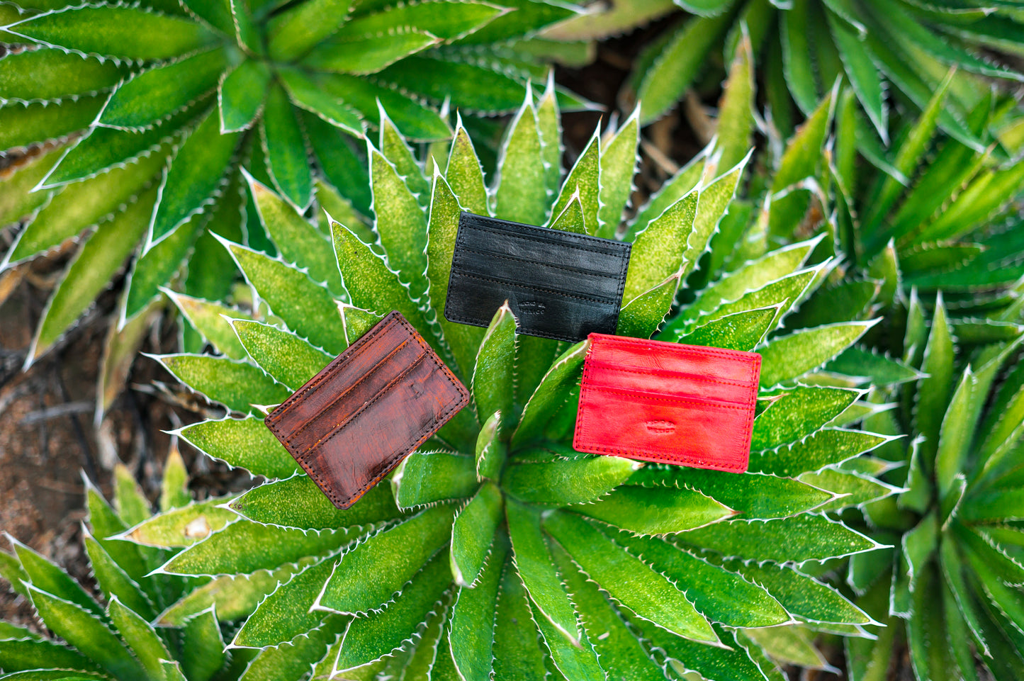 Leather Card Holder