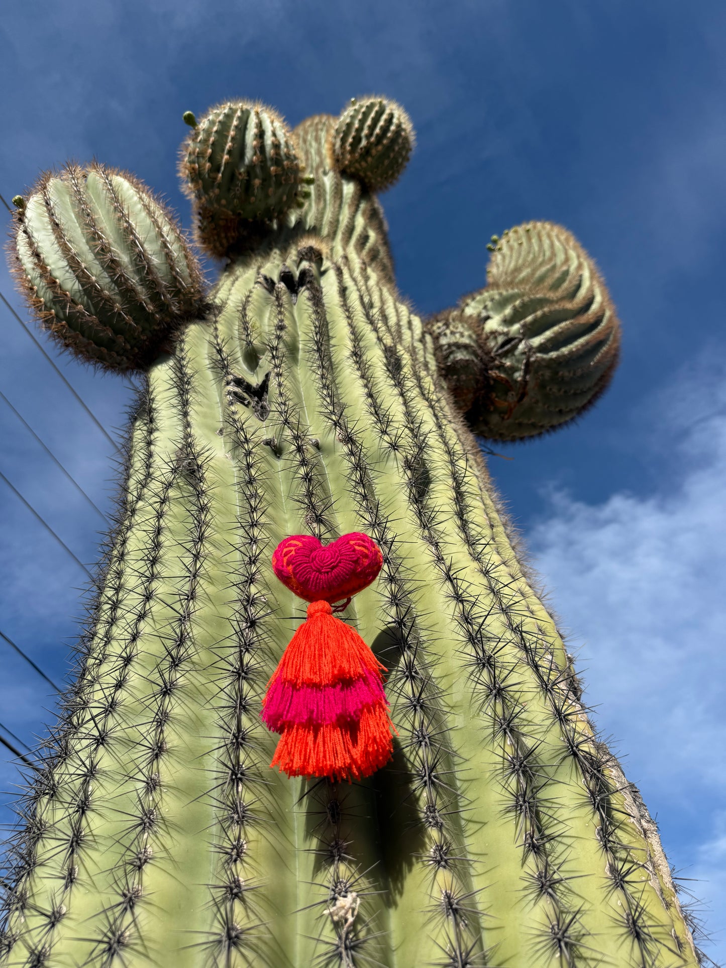 Pink and Orange Flower Embroidered Heart Pom Pom
